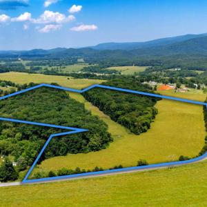Photo #1 of SUNNYVIEW DR, RILEYVILLE, VA 40.6 acres