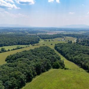 Photo #9 of SUNNYVIEW DR, RILEYVILLE, VA 40.6 acres