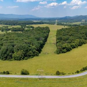 Photo #13 of SUNNYVIEW DR, RILEYVILLE, VA 40.6 acres