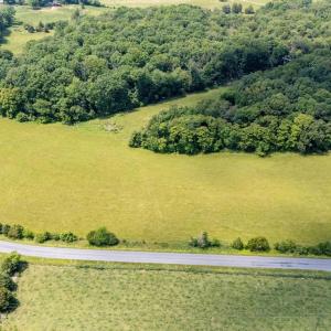 Photo #14 of SUNNYVIEW DR, RILEYVILLE, VA 40.6 acres