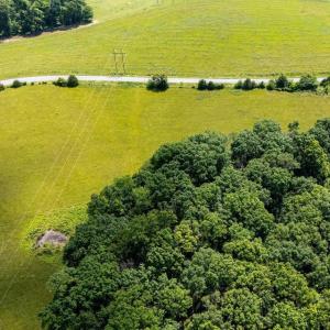Photo #17 of SUNNYVIEW DR, RILEYVILLE, VA 40.6 acres