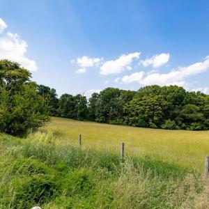 Photo #34 of SUNNYVIEW DR, RILEYVILLE, VA 40.6 acres