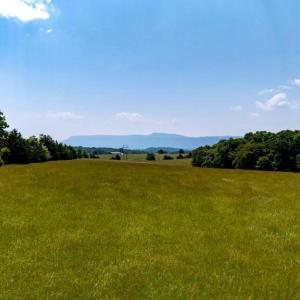 Photo #2 of SUNNYVIEW DR, RILEYVILLE, VA 40.6 acres