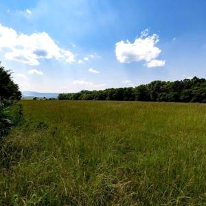 Photo #3 of SUNNYVIEW DR, RILEYVILLE, VA 40.6 acres