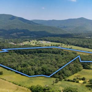 Photo #37 of SUNNYVIEW DR, RILEYVILLE, VA 40.6 acres
