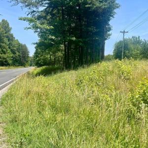 Photo #2 of KENTUCKY SPRINGS RD, BUMPASS, VA 1.7 acres