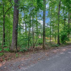 Photo #11 of 121 HILLSIDE DR, LOCUST GROVE, VA 0.3 acres