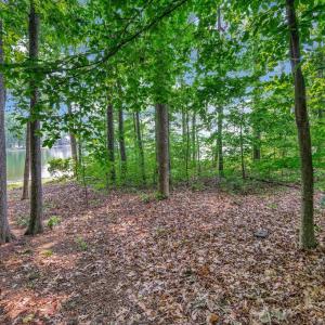 Photo #12 of 121 HILLSIDE DR, LOCUST GROVE, VA 0.3 acres