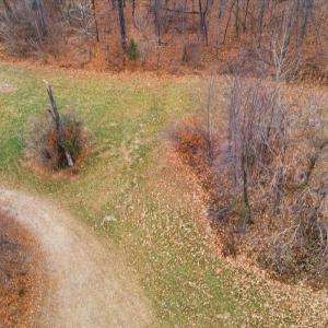 Photo #17 of PRIMROSE, MARSHALL, VA 94.7 acres