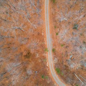 Photo #20 of PRIMROSE, MARSHALL, VA 94.7 acres