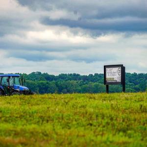 Photo #4 of ZACHARY TAYLOR HWY, UNIONVILLE, VA 25.0 acres