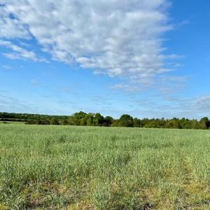 Photo #3 of ZACHARY TAYLOR HWY LOTS 1-12, UNIONVILLE, VA 25.0 acres