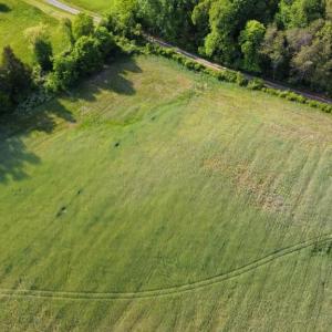 Photo #6 of ZACHARY TAYLOR HWY LOTS 1-12, UNIONVILLE, VA 25.0 acres