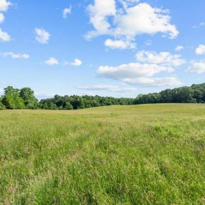 Photo #6 of ELLETT LN, RIXEYVILLE, VA 11.8 acres