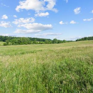 Photo #7 of ELLETT LN, RIXEYVILLE, VA 11.8 acres