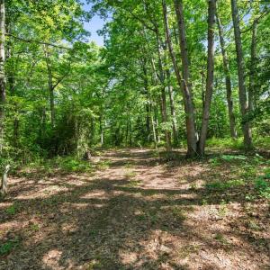 Photo #8 of ELLETT LN, RIXEYVILLE, VA 11.8 acres