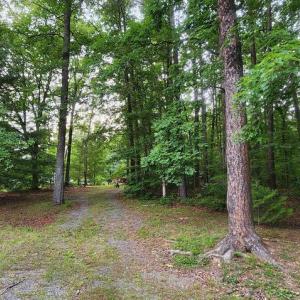 Photo #28 of 272 MOON SHADOW LN, LOUISA, VA 5.0 acres
