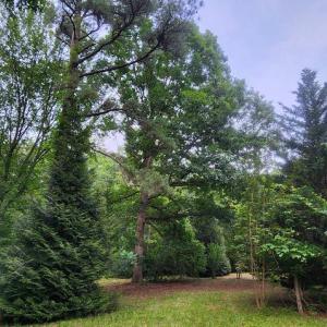 Photo #36 of 272 MOON SHADOW LN, LOUISA, VA 5.0 acres