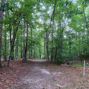 Photo #33 of 272 MOON SHADOW LN, LOUISA, VA 5.0 acres