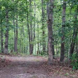 Photo #32 of 272 MOON SHADOW LN, LOUISA, VA 5.0 acres