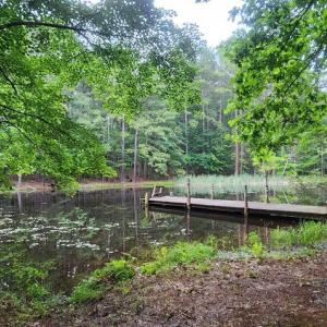 Photo #4 of 272 MOON SHADOW LN, LOUISA, VA 5.0 acres