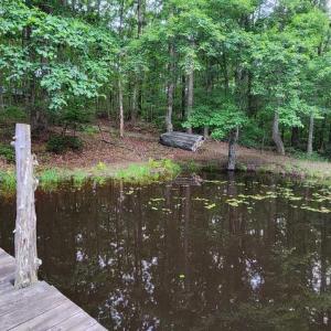 Photo #26 of 272 MOON SHADOW LN, LOUISA, VA 5.0 acres