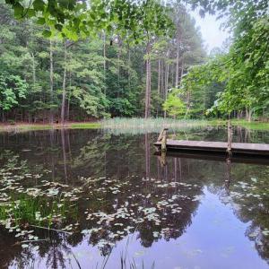 Photo #27 of 272 MOON SHADOW LN, LOUISA, VA 5.0 acres
