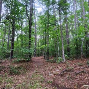 Photo #37 of 272 MOON SHADOW LN, LOUISA, VA 5.0 acres