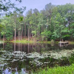 Photo #30 of 272 MOON SHADOW LN, LOUISA, VA 5.0 acres