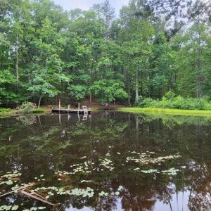 Photo #29 of 272 MOON SHADOW LN, LOUISA, VA 5.0 acres