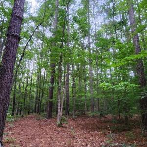 Photo #39 of 272 MOON SHADOW LN, LOUISA, VA 5.0 acres