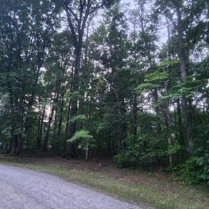 Photo #47 of 272 MOON SHADOW LN, LOUISA, VA 5.0 acres