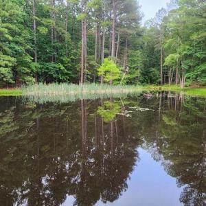 Photo #25 of 272 MOON SHADOW LN, LOUISA, VA 5.0 acres