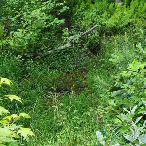 Photo #46 of 272 MOON SHADOW LN, LOUISA, VA 5.0 acres