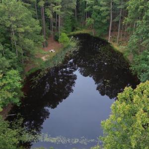 Photo #5 of 272 MOON SHADOW LN, LOUISA, VA 5.0 acres