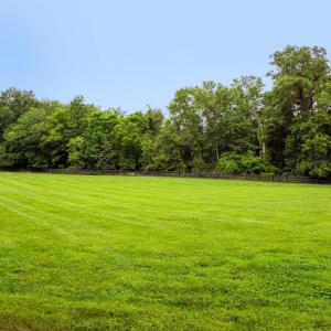 Photo #4 of PARKER ST, UPPERVILLE, VA 2.1 acres