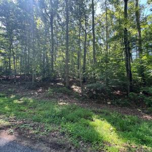 Photo #3 of 9609 PEPPERTREE RD, SPOTSYLVANIA, VA 3.5 acres