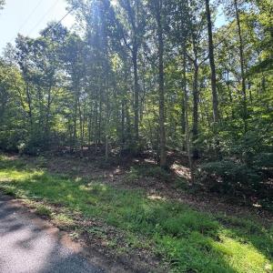 Photo #2 of 9609 PEPPERTREE RD, SPOTSYLVANIA, VA 3.5 acres