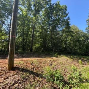 Photo #4 of 9609 PEPPERTREE RD, SPOTSYLVANIA, VA 3.5 acres