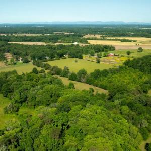 Photo #5 of 11243 BLACKWELLTOWN RD, MIDLAND, VA 25.0 acres