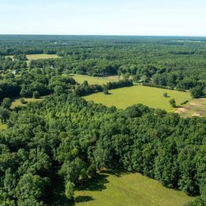 Photo #8 of 11243 BLACKWELLTOWN RD, MIDLAND, VA 25.0 acres