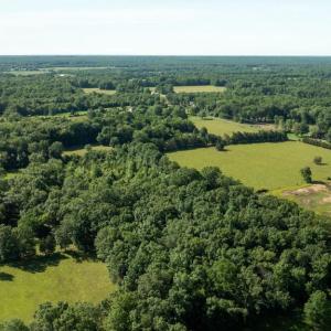 Photo #9 of 11243 BLACKWELLTOWN RD, MIDLAND, VA 25.0 acres