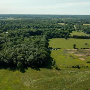 Photo #10 of 11243 BLACKWELLTOWN RD, MIDLAND, VA 25.0 acres