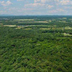 Photo #2 of 11326 ROGUES ROAD N, MIDLAND, VA 52.8 acres