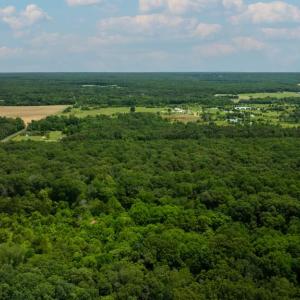 Photo #3 of 11326 ROGUES ROAD N, MIDLAND, VA 52.8 acres