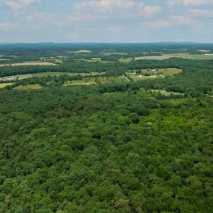 Photo #4 of 11326 ROGUES ROAD N, MIDLAND, VA 52.8 acres