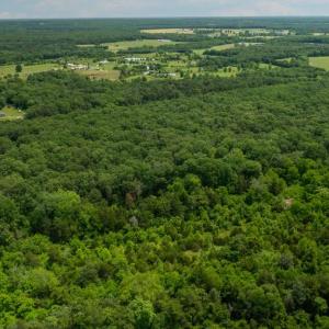 Photo #5 of 11326 ROGUES ROAD N, MIDLAND, VA 52.8 acres