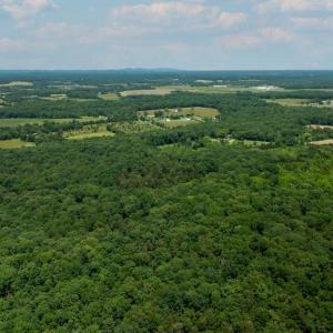 Photo #6 of 11326 ROGUES ROAD N, MIDLAND, VA 52.8 acres