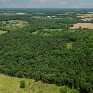 Photo #8 of 11326 ROGUES ROAD N, MIDLAND, VA 52.8 acres