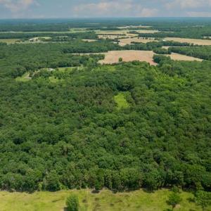 Photo #9 of 11326 ROGUES ROAD N, MIDLAND, VA 52.8 acres